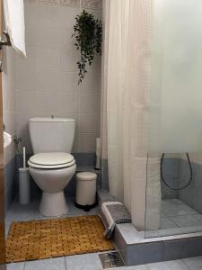 a bathroom with a toilet and a shower at Light Blue in Perea +38 photos
