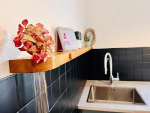 a kitchen counter with a sink and a shelf at Kuschelige helle Ferienwohnung in Gotha