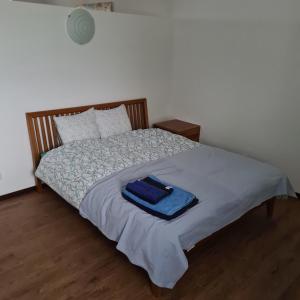 Foto dalla galleria di Appartamento Ticino a Monte Carasso
