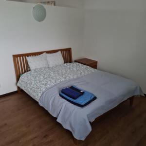 ein Schlafzimmer mit einem Bett mit einer blauen Tasche darauf in der Unterkunft Appartamento Ticino in Monte Carasso
