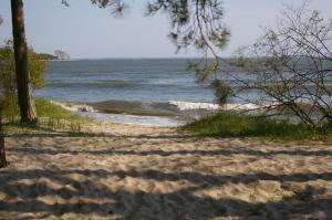 a sandy beach with trees and a body of water at Ferienwohnung Boddenblick in Zudar