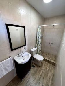 a bathroom with a sink and a toilet and a mirror at Terraverde Apartment in Ciudad Lujan de Cuyo