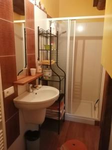 y baño con aseo, ducha y lavamanos. en La maison de Brigitte aux petites avaizes, en Châteauneuf