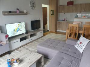 Cozy apartment Bjelašnica Ski Resort tesisinde bir televizyon ve/veya eğlence merkezi