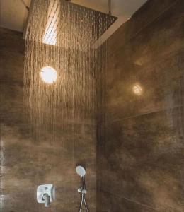 a bathroom with a shower with a sprinkler at Propeller Gästehaus EG in Eppingen