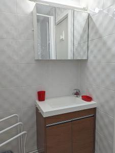 La salle de bains est pourvue d'un lavabo et d'un miroir. dans l'établissement Appartement avec WIFI et CLIMATISATION, proche golf et île des loisirs, au Cap d'Agde