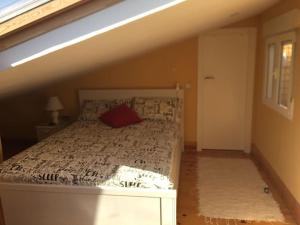 1 dormitorio con 1 cama con almohada roja en Loft near mountain range. 30 minutes to Madrid 