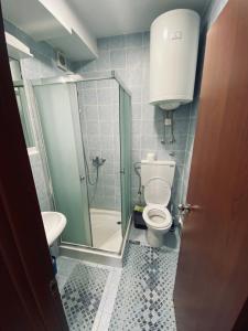 חדר רחצה ב-Apartman Blagojevic
