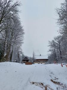 Obiekt Agroturystyka LipoweWzgórze domek Antek zimą
