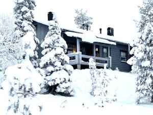a house with snow covered trees in front of it at Vuosselin Kuura (2 mh + tilava parvi) in Kuusamo