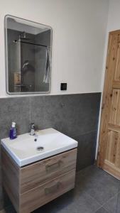 W łazience znajduje się umywalka i lustro. w obiekcie Chata Demian w Demianowskiej Dolinie