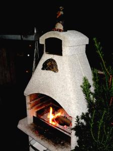 a pizza is being cooked in a pizza oven at Penzion pod Železným Vrchem in Chřibská