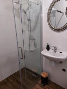 een badkamer met een douche en een wastafel bij Agroturystyka LipoweWzgórze- Jaś&Małgosia in Tereszpol