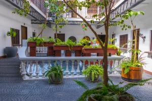 a courtyard with potted plants and a staircase at Hotel Calacoto in La Paz