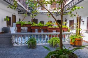 Zahrada ubytování Hotel Calacoto