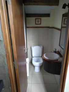 a bathroom with a toilet and a sink at Altos del Alma Cabañas in San Martín de los Andes