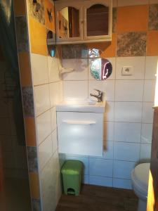 Baño pequeño con lavabo y aseo en Gîte Ty Bihan Baradoz, en Scrignac