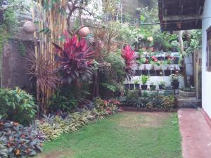 Κήπος έξω από το Villa Seven Rich