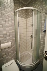 a bathroom with a shower with a toilet and a sink at The Nest - harmony place to spend a mountain brake in Bjelašnica +9 photos