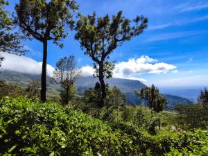 Paesaggio naturale nelle vicinanze dell'affittacamere
