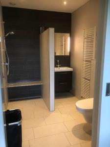 a bathroom with a shower and a sink and a toilet at Raafjeshof in Culemborg