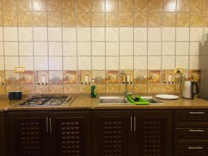 a kitchen with a sink and a stove at Green house in Ajloun