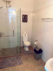 Villa Cantik Kuta Regency في كوتا: حمام مع مرحاض ودش زجاجي