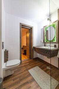 米奧修德薩斯的住宿－Ranger Chalet，一间带卫生间、水槽和镜子的浴室