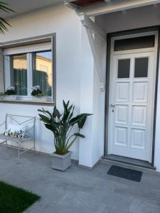 Fotografia z galérie ubytovania Casa Lia 47 vo Viareggio