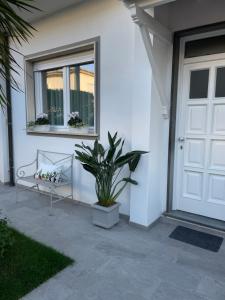 Fotografia z galérie ubytovania Casa Lia 47 vo Viareggio