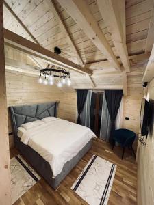 1 dormitorio con 1 cama y TV en una habitación en Chalet Montenegrina with jacuzzi, en Kolašin
