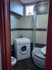 bagno con lavatrice e servizi igienici di Apartman K2 a Žarkovo
