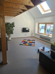 TV a/nebo společenská místnost v ubytování Stadtloft