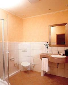La salle de bains est pourvue de toilettes, d'un lavabo et d'une douche. dans l'établissement Hotel Restaurant Ochsenwirtshof, à Bad Rippoldsau-Schapbach