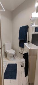 Kúpeľňa v ubytovaní Charmant Appartement au Cœur de Fougères