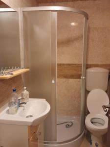 uma casa de banho com um chuveiro, um lavatório e um WC. em Casa Sebastian - Rau Mare Retezat 