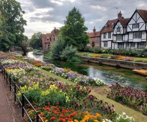 a garden of flowers next to a river with houses at Cosy Central Canterbury - Modern Victorian in Kent
