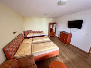 Televízia a/alebo spoločenská miestnosť v ubytovaní Horský hotel Paprsek