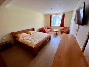 Televízia a/alebo spoločenská miestnosť v ubytovaní Horský hotel Paprsek