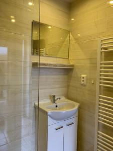 a bathroom with a sink and a mirror at Apartmán Kalafut in Vlková +4 photos