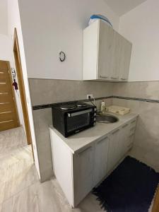 Eldhús eða eldhúskrókur á Apartman Gakić 1