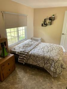 um quarto com uma cama e uma janela em Casa Neblinas em San Carlos