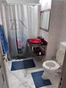 a bathroom with a toilet and a sink and a mirror at Apartament In Centrul Orasului in Bacău