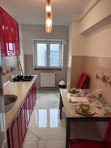 Kuchyň nebo kuchyňský kout v ubytování Apartament In Centrul Orasului + 4 fotografie
