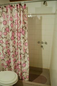 a bathroom with a shower curtain with a toilet at Espacio Infinito in Capilla del Monte +24 photos