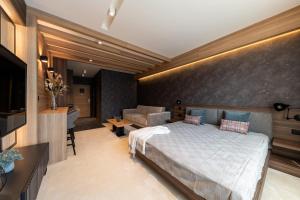 a bedroom with a bed and a couch and a television at Woodside Residences & SPA in Kopaonik