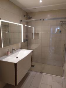 La salle de bains est pourvue d'un lavabo et d'une douche avec un miroir. dans l'établissement Véritable maison de vacances à 500 m des plages, à Saint-Malo