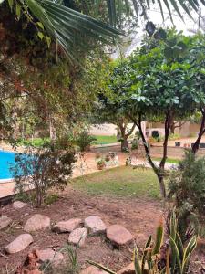 un jardin avec des arbres et des rochers à côté d'une piscine dans l'établissement Dar dguech, à Degache