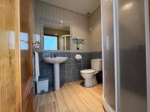 uma casa de banho com um lavatório, um WC e um espelho. em Hostal Parador de los Llanos em Torreorgaz