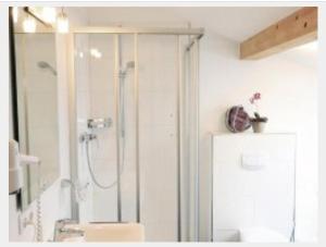 a bathroom with a shower and a sink at L'Ulivo Italienische Restaurant und Pension in Pleiskirchen